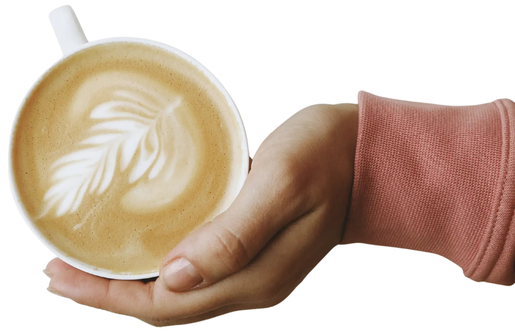 mobile coffee cart reviews